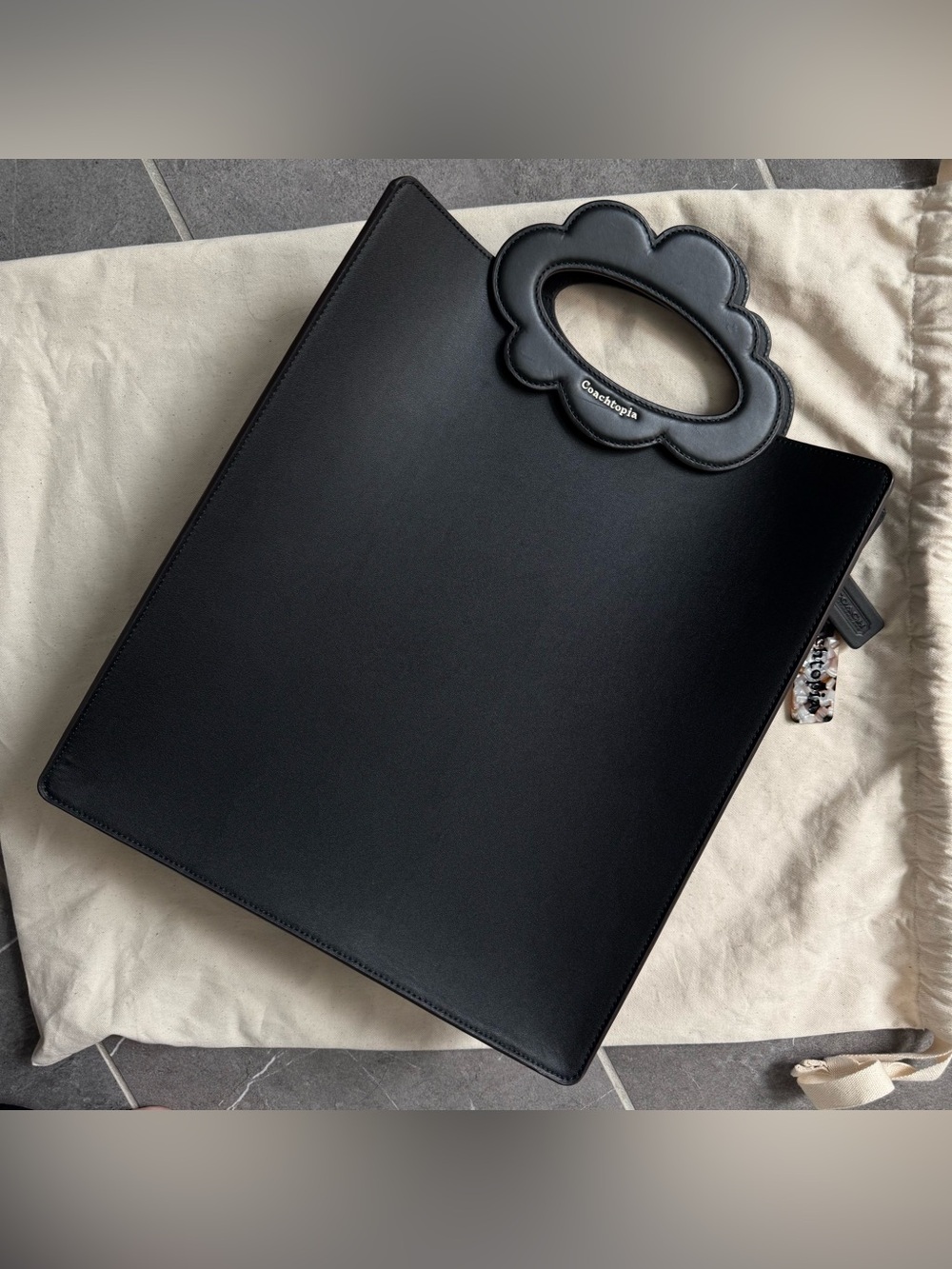 COACHTOPIA Cloud Handle Tote